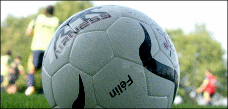 Ligue 1 2008-09